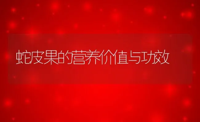 蛇皮果的营养价值与功效 | 养殖资料投稿