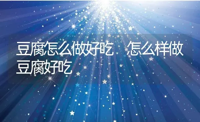 豆腐怎么做好吃 怎么样做豆腐好吃 | 养殖资料投稿