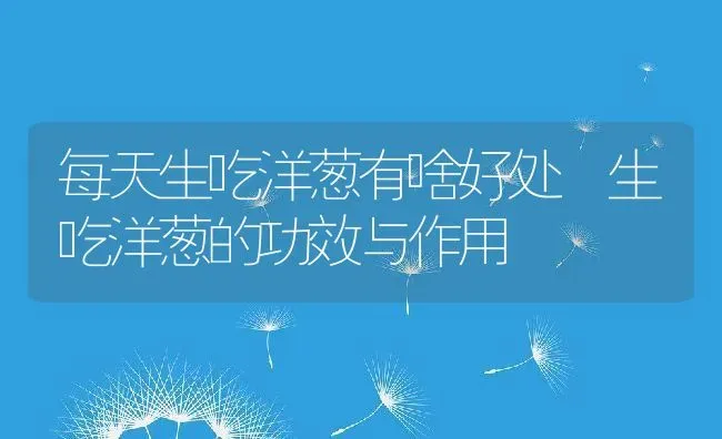 每天生吃洋葱有啥好处 生吃洋葱的功效与作用 | 养殖资料投稿