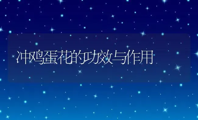 冲鸡蛋花的功效与作用 | 养殖资料投稿