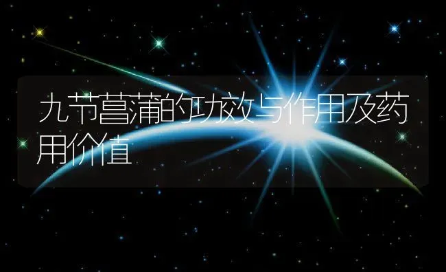 九节菖蒲的功效与作用及药用价值 | 养殖资料投稿
