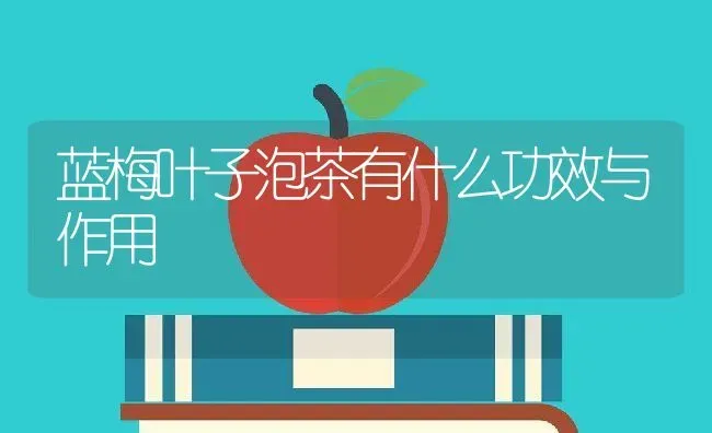 蓝梅叶子泡茶有什么功效与作用 | 养殖资料投稿