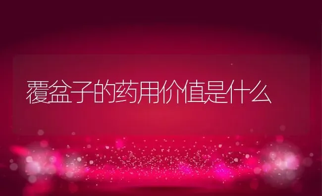 覆盆子的药用价值是什么 | 养殖资料投稿