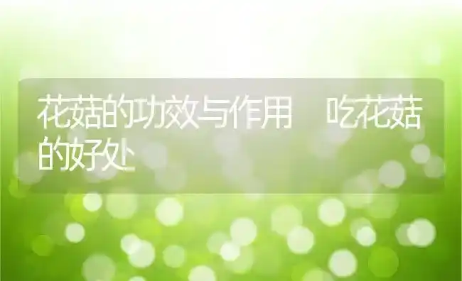 花菇的功效与作用 吃花菇的好处 | 养殖资料投稿