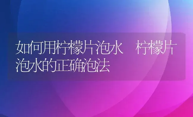 如何用柠檬片泡水 柠檬片泡水的正确泡法 | 养殖资料投稿