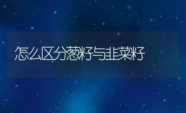 怎么区分葱籽与韭菜籽 | 养殖资料投稿