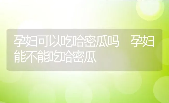 孕妇可以吃哈密瓜吗 孕妇能不能吃哈密瓜 | 养殖资料投稿