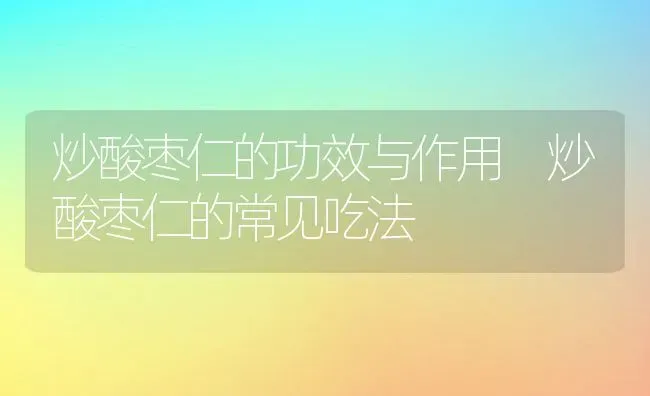 炒酸枣仁的功效与作用 炒酸枣仁的常见吃法 | 养殖资料投稿