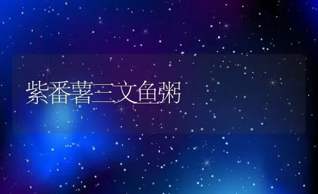 紫番薯三文鱼粥 | 养殖资料投稿
