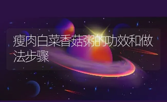 瘦肉白菜香菇粥的功效和做法步骤 | 养殖资讯