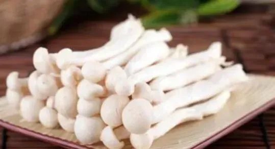 海鲜菇的功效与作用及禁忌