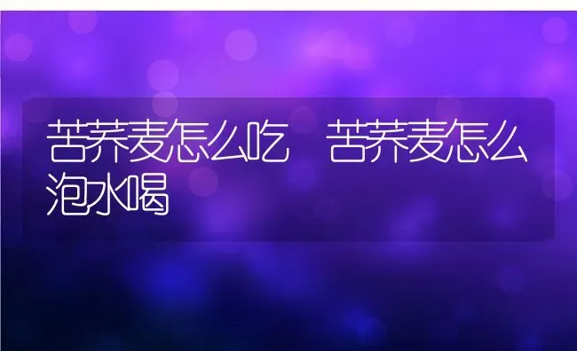 苦荞麦怎么吃 苦荞麦怎么泡水喝 | 养殖资讯