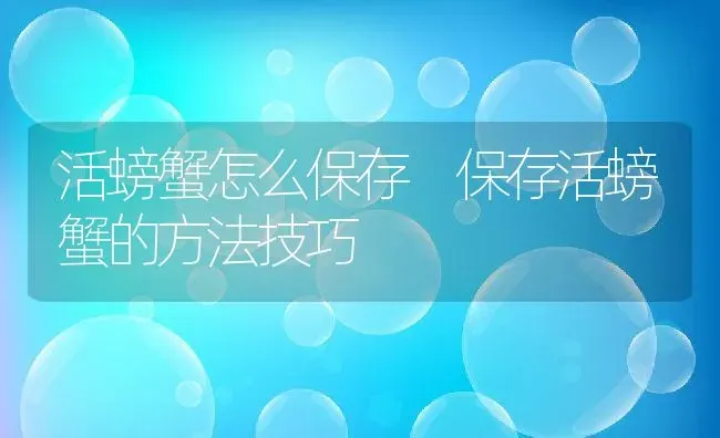 活螃蟹怎么保存 保存活螃蟹的方法技巧 | 养殖资料投稿