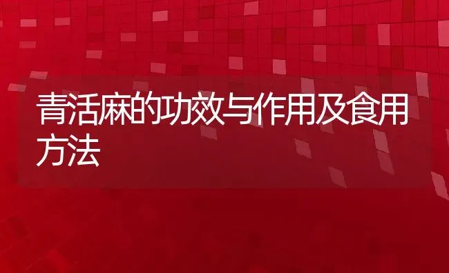 青活麻的功效与作用及食用方法 | 养殖资料投稿