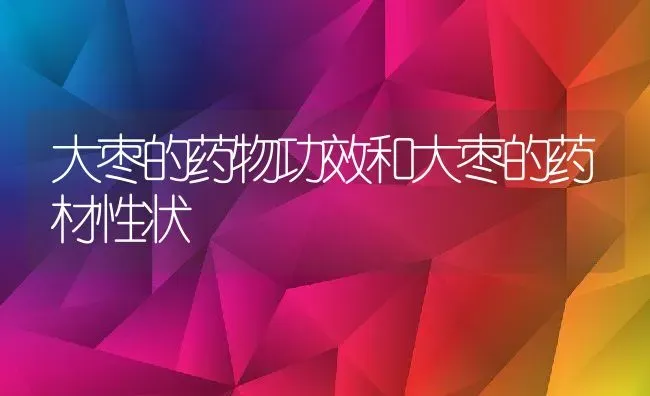 大枣的药物功效和大枣的药材性状 | 养殖资料投稿