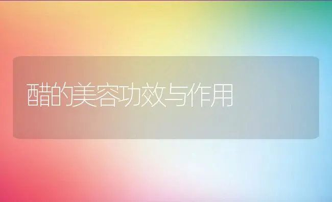 醋的美容功效与作用 | 养殖资料投稿