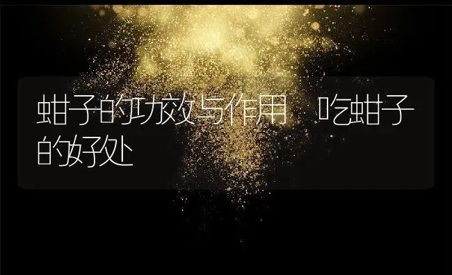 蚶子的功效与作用 吃蚶子的好处 | 养殖资料投稿