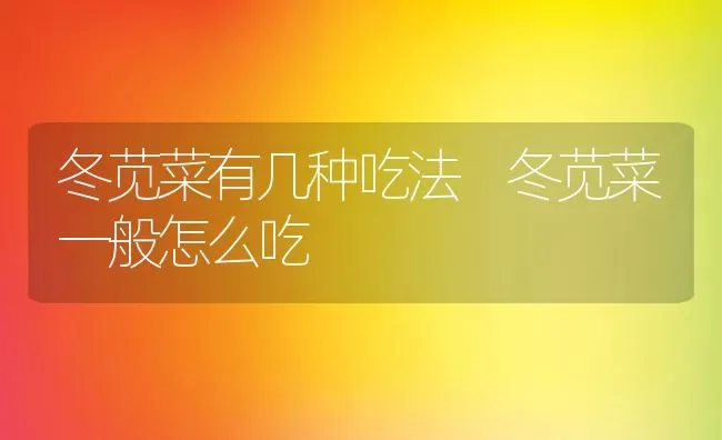 冬苋菜有几种吃法 冬苋菜一般怎么吃 | 养殖资料投稿