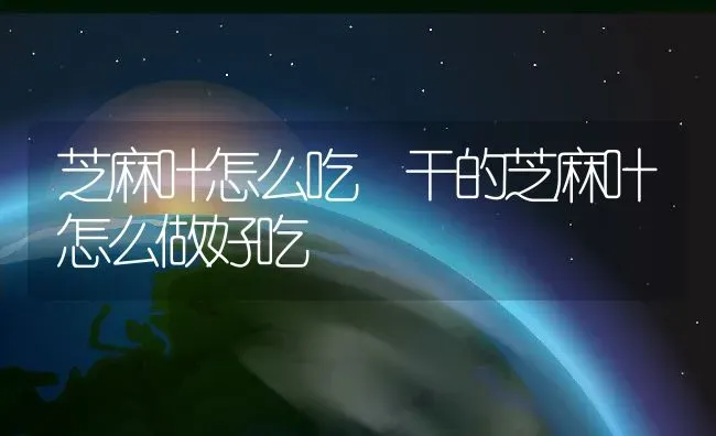 芝麻叶怎么吃 干的芝麻叶怎么做好吃 | 养殖资料投稿