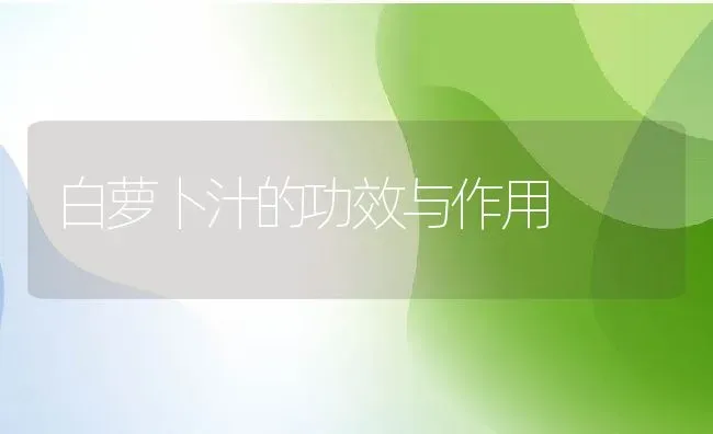 白萝卜汁的功效与作用 | 养殖资料投稿