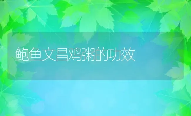 槐树花的功效与作用 | 养殖资料投稿