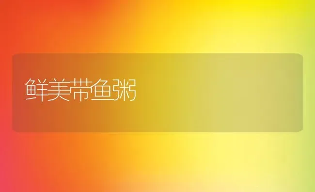 鲜美带鱼粥 | 养殖资讯