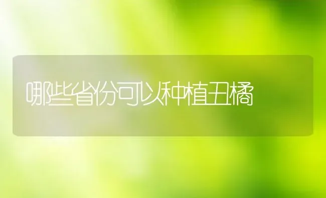 哪些省份可以种植丑橘 | 养殖资讯