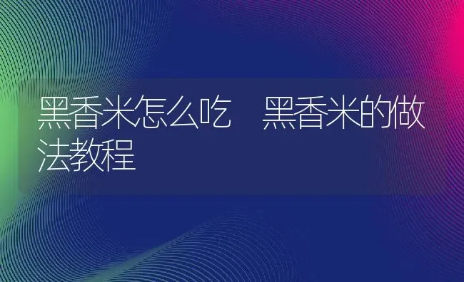 黑香米怎么吃 黑香米的做法教程 | 养殖资讯