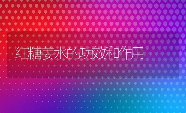 红糖姜水的功效和作用 | 养殖资料投稿