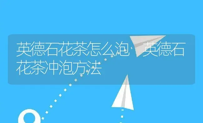 英德石花茶怎么泡 英德石花茶冲泡方法 | 养殖资料投稿