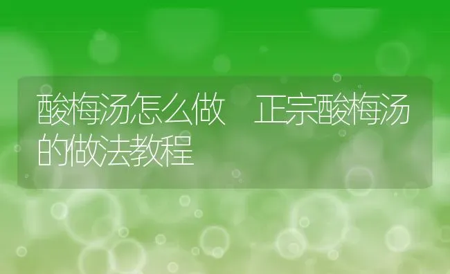 酸梅汤怎么做 正宗酸梅汤的做法教程 | 养殖资料投稿