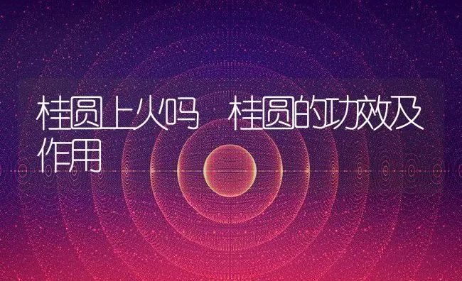 桂圆上火吗 桂圆的功效及作用 | 养殖资料投稿