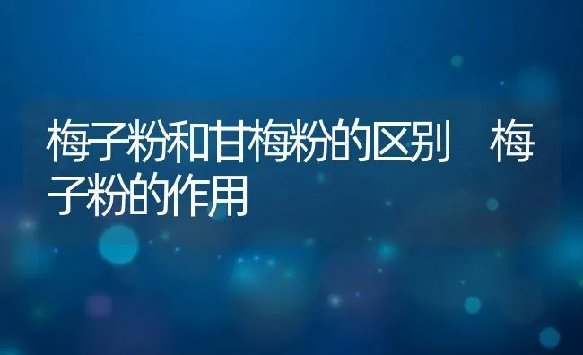 梅子粉和甘梅粉的区别 梅子粉的作用 | 养殖资料投稿