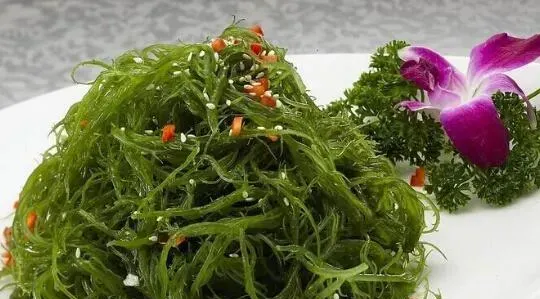 海藻怎么吃 海藻的食用方法