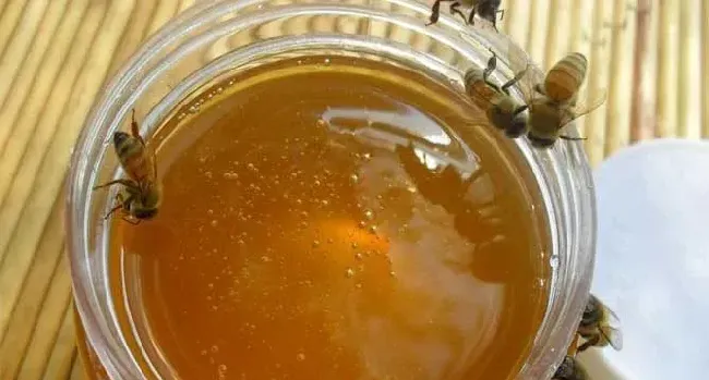 正宗枣花蜜价格多少钱一斤？