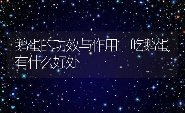 鹅蛋的功效与作用 吃鹅蛋有什么好处 | 养殖资料投稿