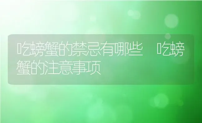 吃螃蟹的禁忌有哪些 吃螃蟹的注意事项 | 养殖资料投稿