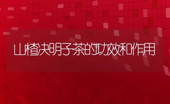 山楂决明子茶的功效和作用 | 养殖资料投稿