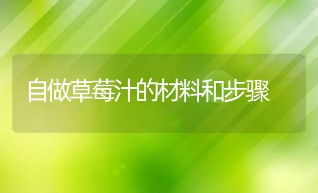 自做草莓汁的材料和步骤 | 养殖资料投稿