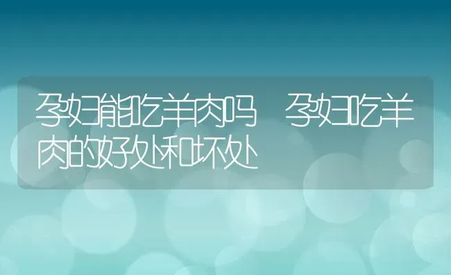 孕妇能吃羊肉吗 孕妇吃羊肉的好处和坏处 | 养殖资料投稿