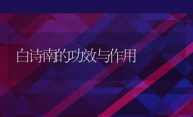 白诗南的功效与作用 | 养殖资料投稿