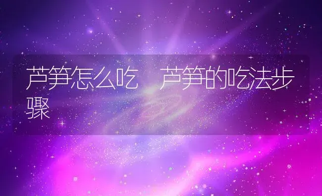 芦笋怎么吃 芦笋的吃法步骤 | 养殖资料投稿