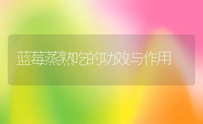 蓝莓蒸熟吃的功效与作用 | 养殖资料投稿