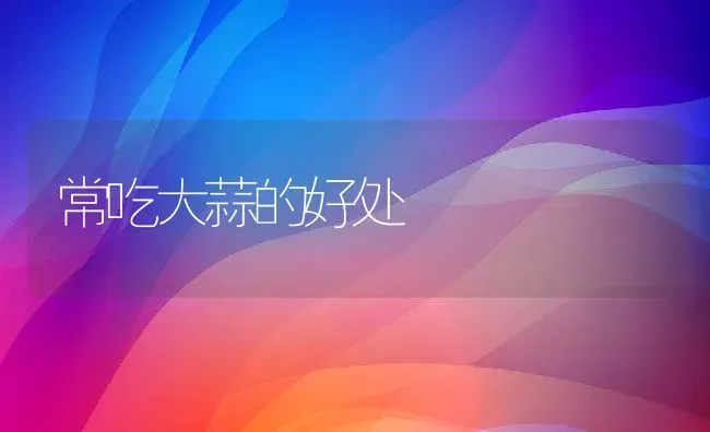 常吃大蒜的好处 | 养殖资料投稿