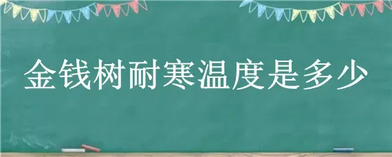 金钱树耐寒温度是多少