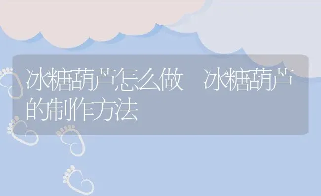 冰糖葫芦怎么做 冰糖葫芦的制作方法 | 养殖资料投稿