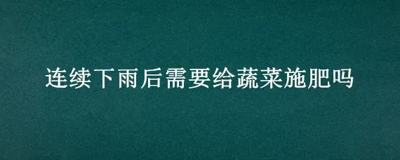连续下雨后需要给蔬菜施肥吗