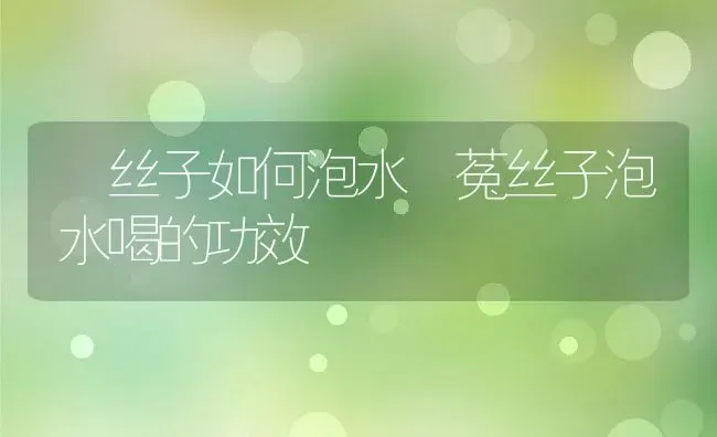 莬丝子如何泡水 菟丝子泡水喝的功效 | 养殖资料投稿