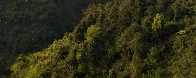 为什么养蛇亏的人多
