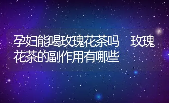 孕妇能喝玫瑰花茶吗 玫瑰花茶的副作用有哪些 | 养殖资料投稿